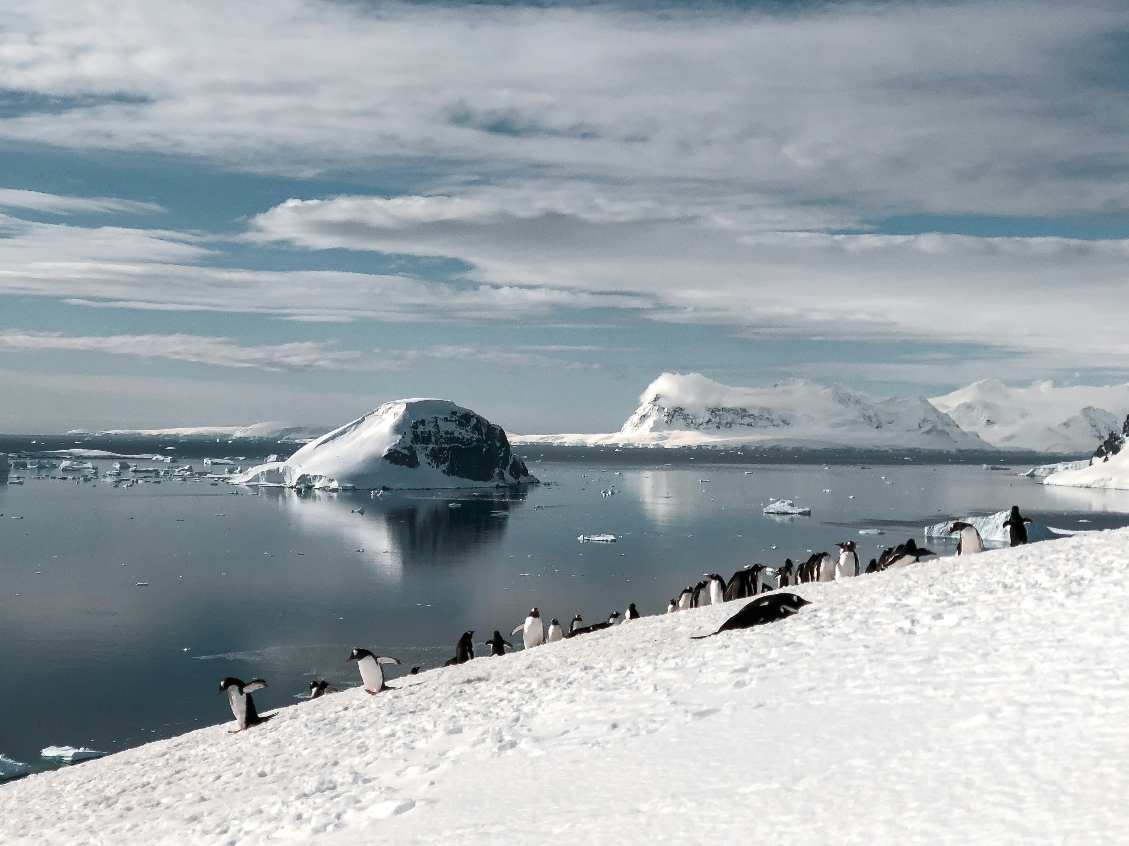 Antarctica — Polar Expedition