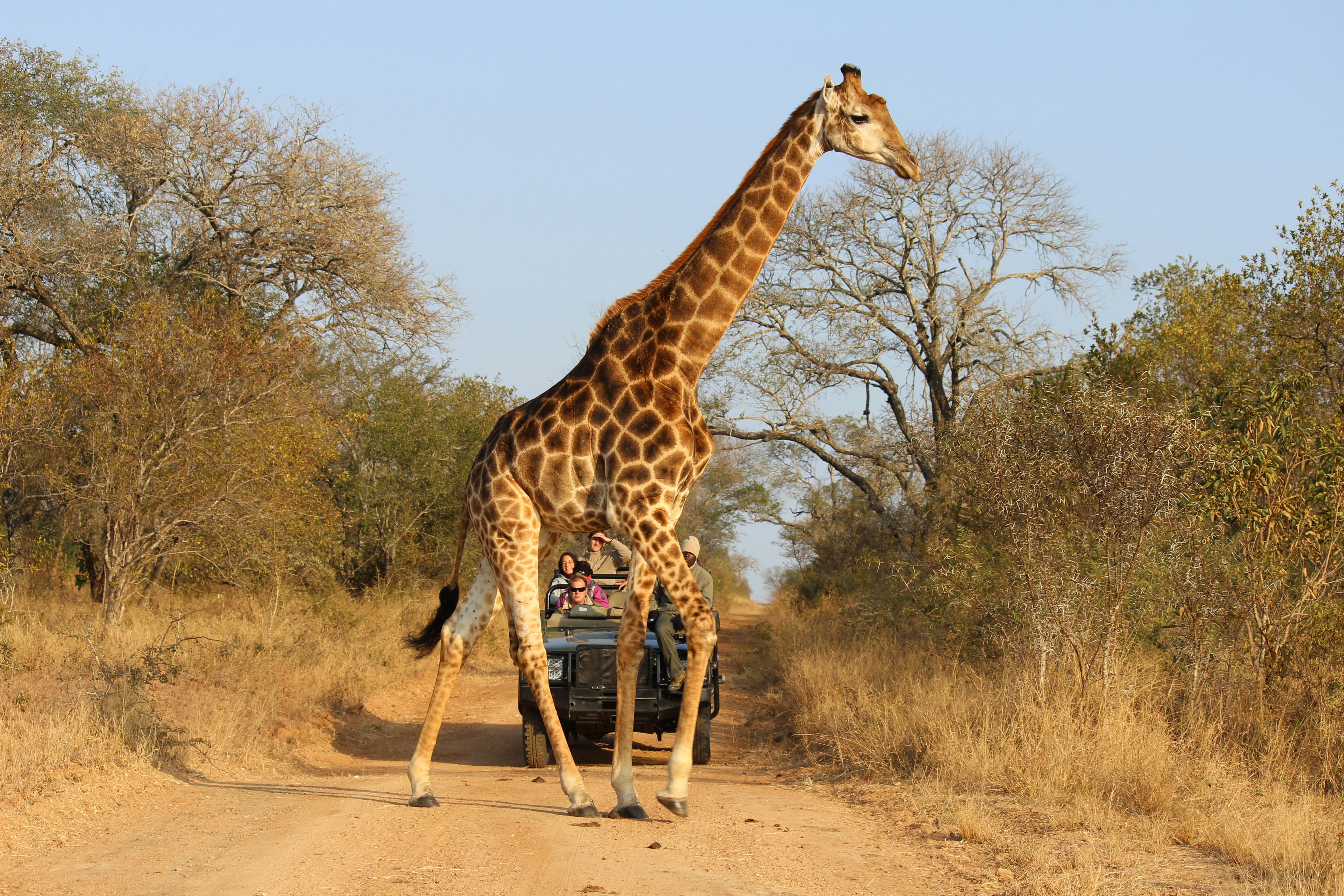 Kenya
